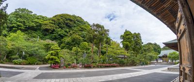 IMG_6541.jpg