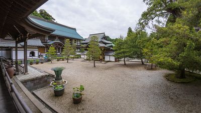IMG_6550.jpg