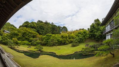 IMG_6553.jpg
