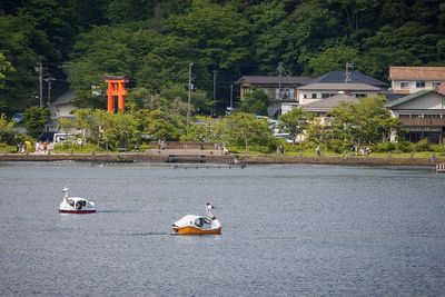 IMG_6593.jpg