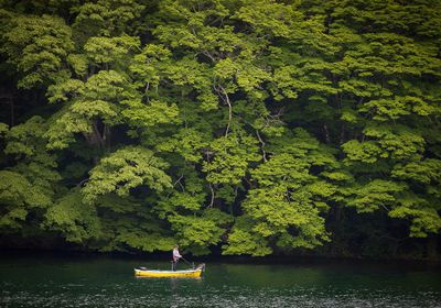 Hakone - Lac Ashi