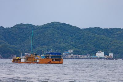 IMG_6704.jpg
