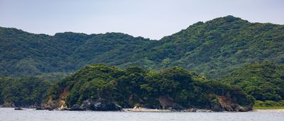 IMG_6721.jpg