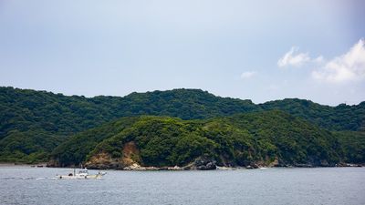 IMG_6725.jpg