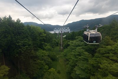 g13/24/547324/3/174672893.852c3835.JPEG