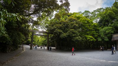 IMG_6757.jpg