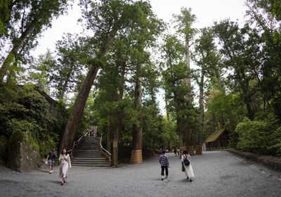 IMG_6771.jpg
