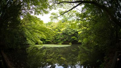 IMG_6778.jpg