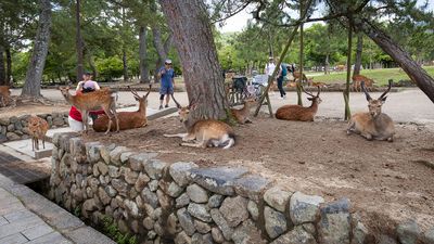 IMG_6846.jpg