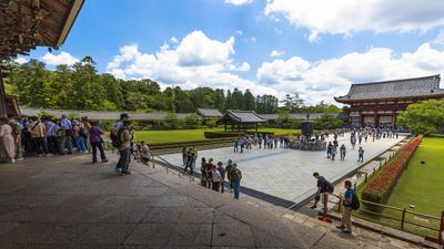 IMG_6862.jpg