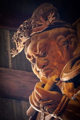 IMG_6875.jpg