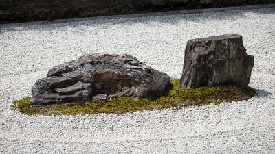 IMG_6997.jpg