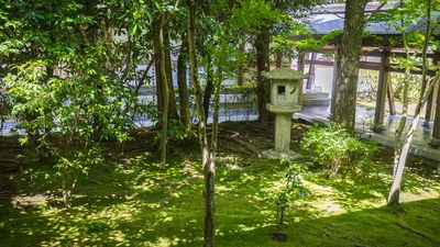 IMG_7002.jpg