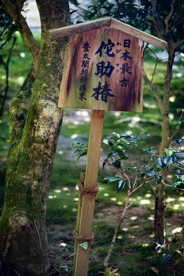 IMG_7008.jpg
