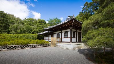 IMG_7018.jpg