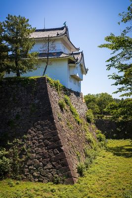 IMG_7164.jpg