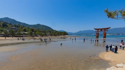 IMG_8361.jpg