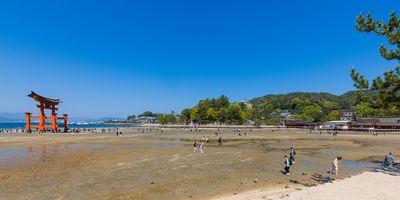 IMG_8406.jpg
