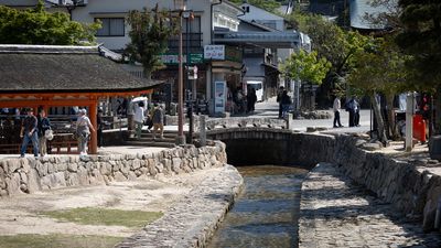 IMG_8417.jpg
