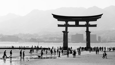 IMG_8461.jpg