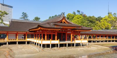 IMG_8462.jpg
