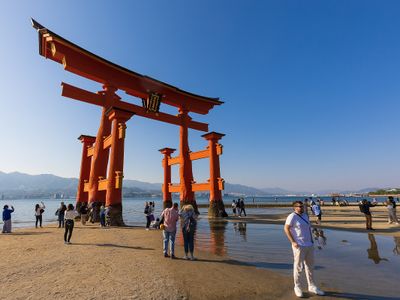 g13/24/547324/3/175573221.17a6a7ec.JPEG