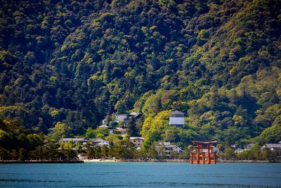 Miyajima