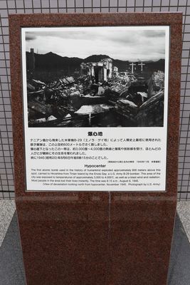 IMG_8315.jpg