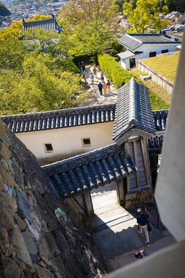 IMG_8155.jpg