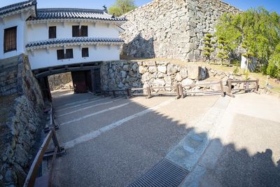 IMG_8173.jpg