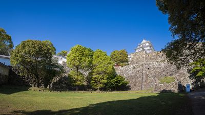 IMG_8177.jpg