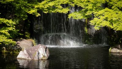 IMG_8189.jpg