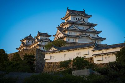 IMG_8221.jpg