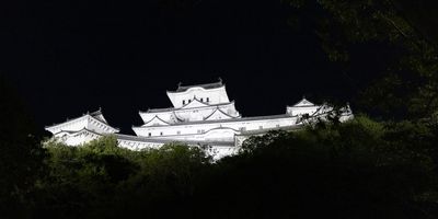 IMG_8246.jpg