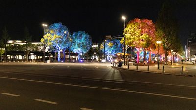 IMG_8253.jpg