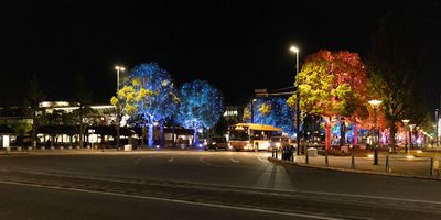 IMG_8254.jpg