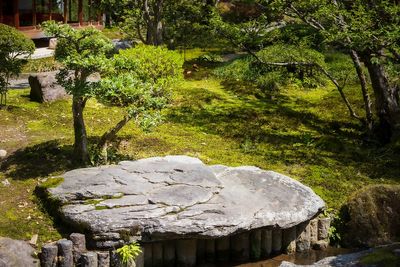Chateau - Jardin Kenrokuen
