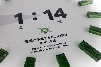 g13/24/547324/3/175573940.7015f028.JPEG