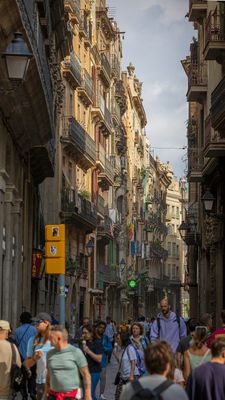 IMG_9691.jpg