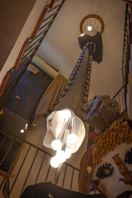 IMG_9384.jpg