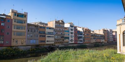 IMG_9425.jpg