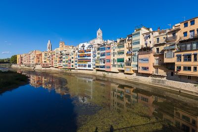 IMG_9427.jpg