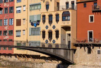 IMG_9467.jpg
