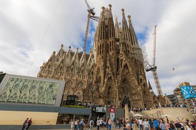 IMG_9482.jpg
