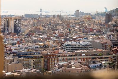 IMG_9500.jpg