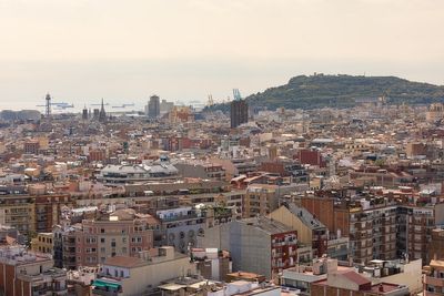 IMG_9515.jpg