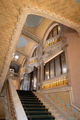 IMG_9637.jpg