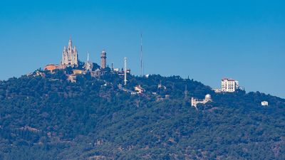 IMG_9781.jpg