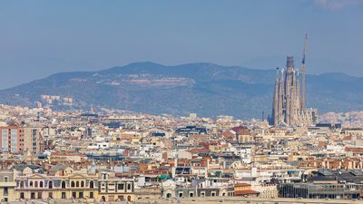IMG_9786.jpg
