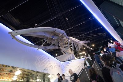 IMG_9811.jpg
